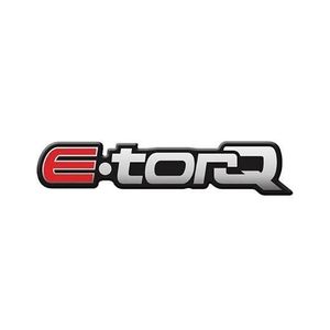 E- Torq Fiat 2011 Resinado