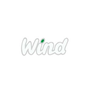 Emblema Wind  - Corsa Verde/prata