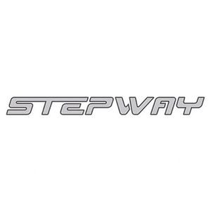 Emblema Stepway Sandero 2011/ Traseiro