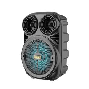 Caixa Som Com Microfone Fm Bt Usb Cartao Memoria P2 P10 Karaoke Bateria