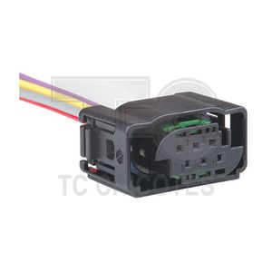 Conector Sensor Borboleta Fiat 6 Vias