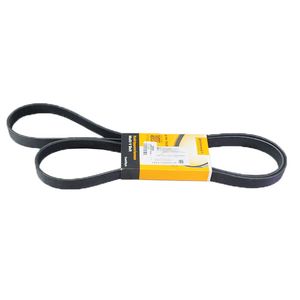 Correia Alternador Escort 97/... Zetec