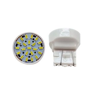 Par De Lampadas Led Pingao Gigante 2 Polos Smd