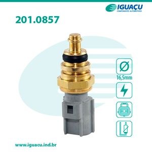 Sensor Temperatura Injecao Ecosport 08/14 2.0 16v/focus 08/16 Duratec
