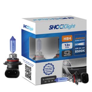 Par De Lampadas Super Brancas Hb4 9006 12v 55w 8500k